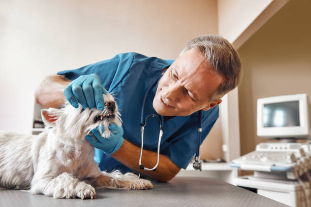 Best Emergency Wisdom Teeth Removal in Andrews, TX